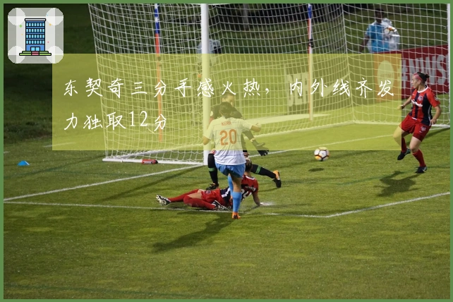 东契奇三分手感火热，内外线齐发力独取12分