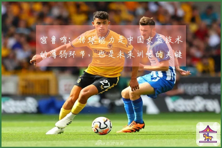 宫鲁鸣：传球能力是中国女篮技术的薄弱环节，也是未来训练的关键