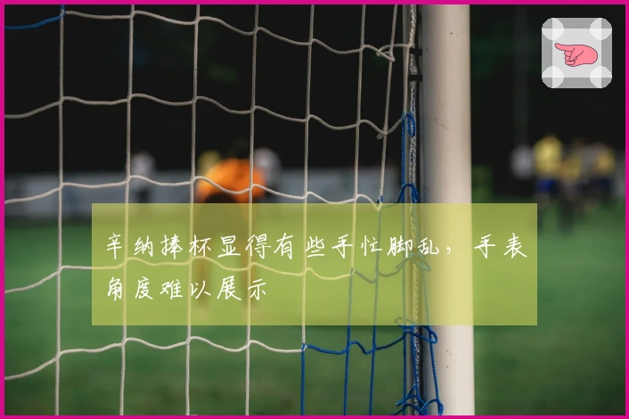 辛纳捧杯显得有些手忙脚乱，手表角度难以展示